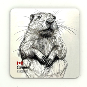 990407 Beaver Sketch Coaster